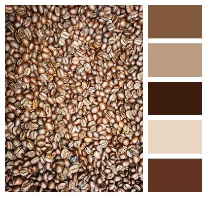 Fresh Coffee Tanzania Coffee Beans Image